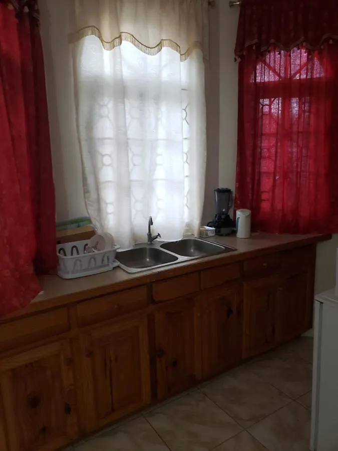 Wizzy Apartment Montego Bay