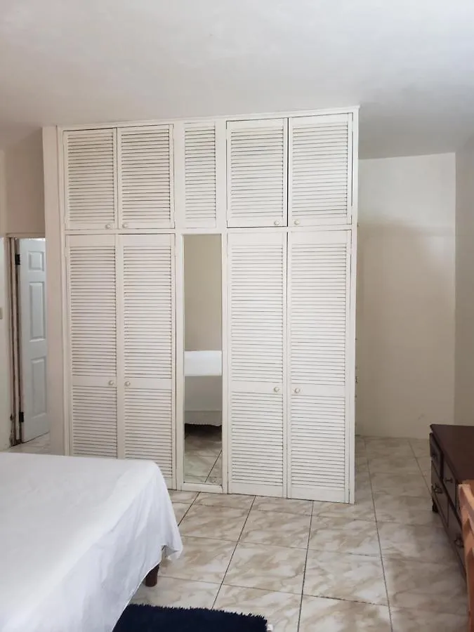 Wizzy Apartment Montego Bay